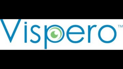 Vispero Leads The Way  Is Your Product or Service Accessible To Those Living With Disabilities