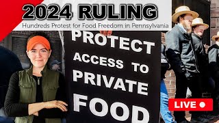 JUDGE RULES IN AMISH FARMER HEARING | Pennsylvania v Amos Miller Organic Farms Farming by the Shepherdess 583,167 views 2 months ago 3 minutes, 55 seconds