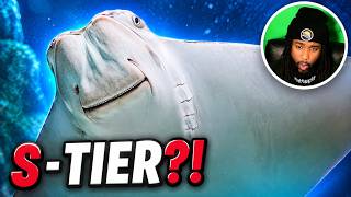 Information Are Stingrays Overpowered | TierZoo Reaction Guide