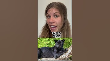 Swedish words: Can you hear the difference?