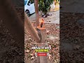 “660W laser igniter vs steel blade — the result is insane! 🔥product link in description.” #lasergun