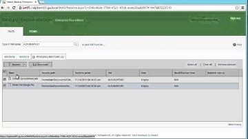 Linux FLR- Restore Operator perspective