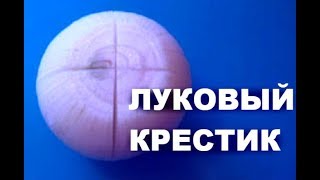 «Луковый крест» — удивительно, но помогает # топ5хайп «Луковый крест» — удивительно, но помогает # топ5хайп