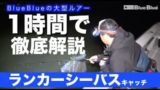 【ランカーシーバス登場】BlueBlue大型ルアーについて開発者 村岡昌憲が実釣解説