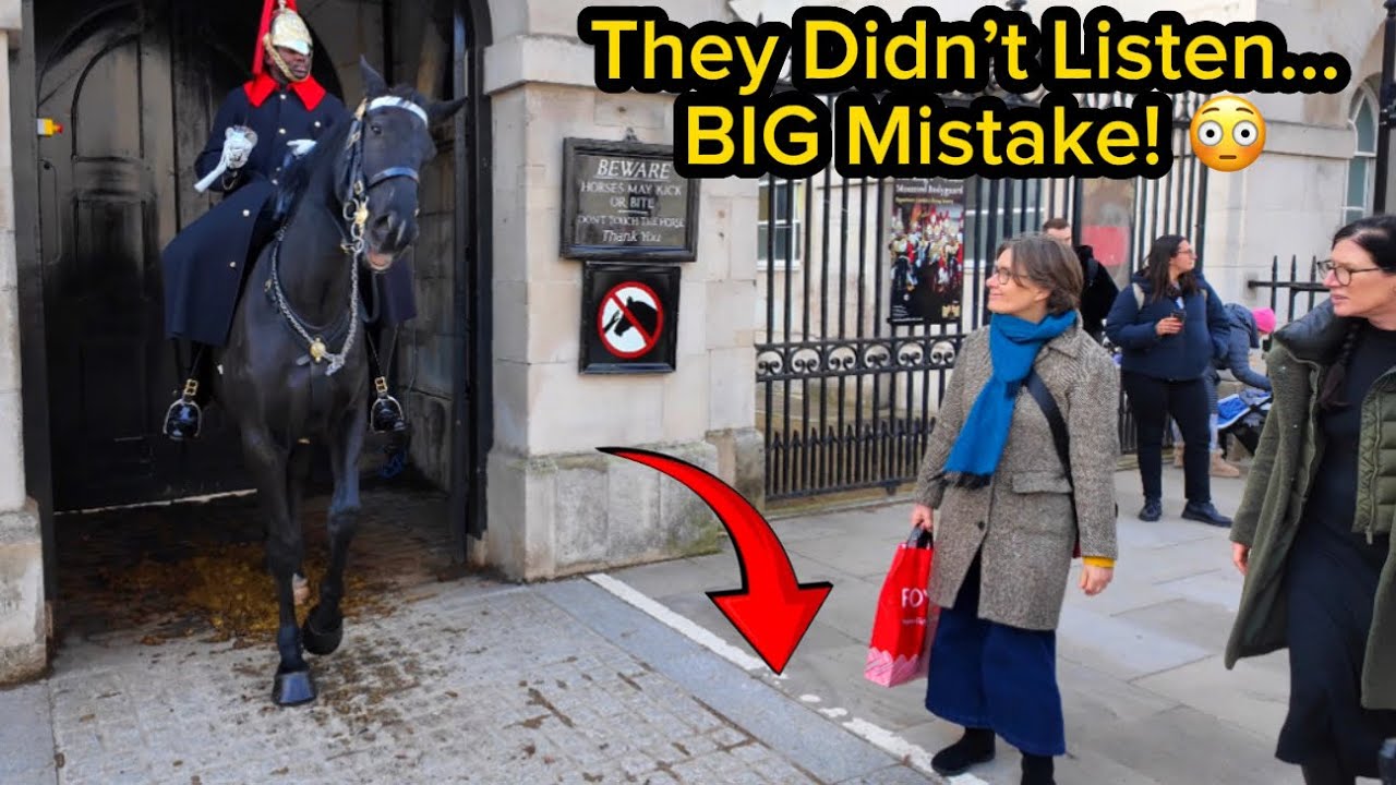 😳Guard Horse WARNS Ignorant Tourists… Then THIS Happened! | Horse Guards London