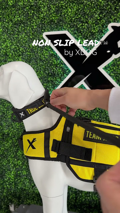 NON SLIP LEAD™️ by XDOG! A Slip Leash That Doesn’t Get Loose While In Use. #xdog #dogtraining #dog