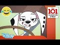 101 Dalmatian Street | Ransom Pups - Episode  | Disney Channel UK