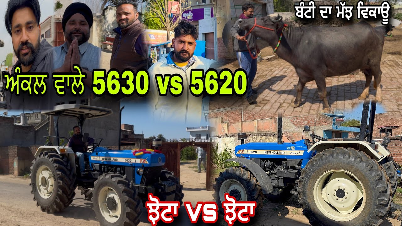 ਅੰਕਲ ਵਾਲੇ ਨੀਲੇ ਘੋੜੇ 5630 vs 5620 