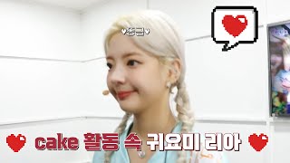 [ITZY]cake 활동 속 귀요미 리아