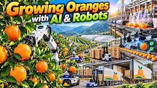 Inside a High-Tech Orange Farm — You Won’t Believe How It Works!