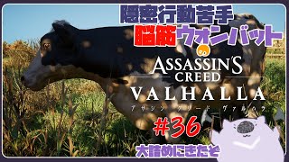 【脳筋アサクリ36】ASSASSINS CREED VALHALLA 【#こむらいぶ】