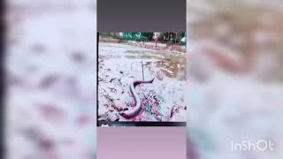 Subscribe Like & Commentshiv Memer..