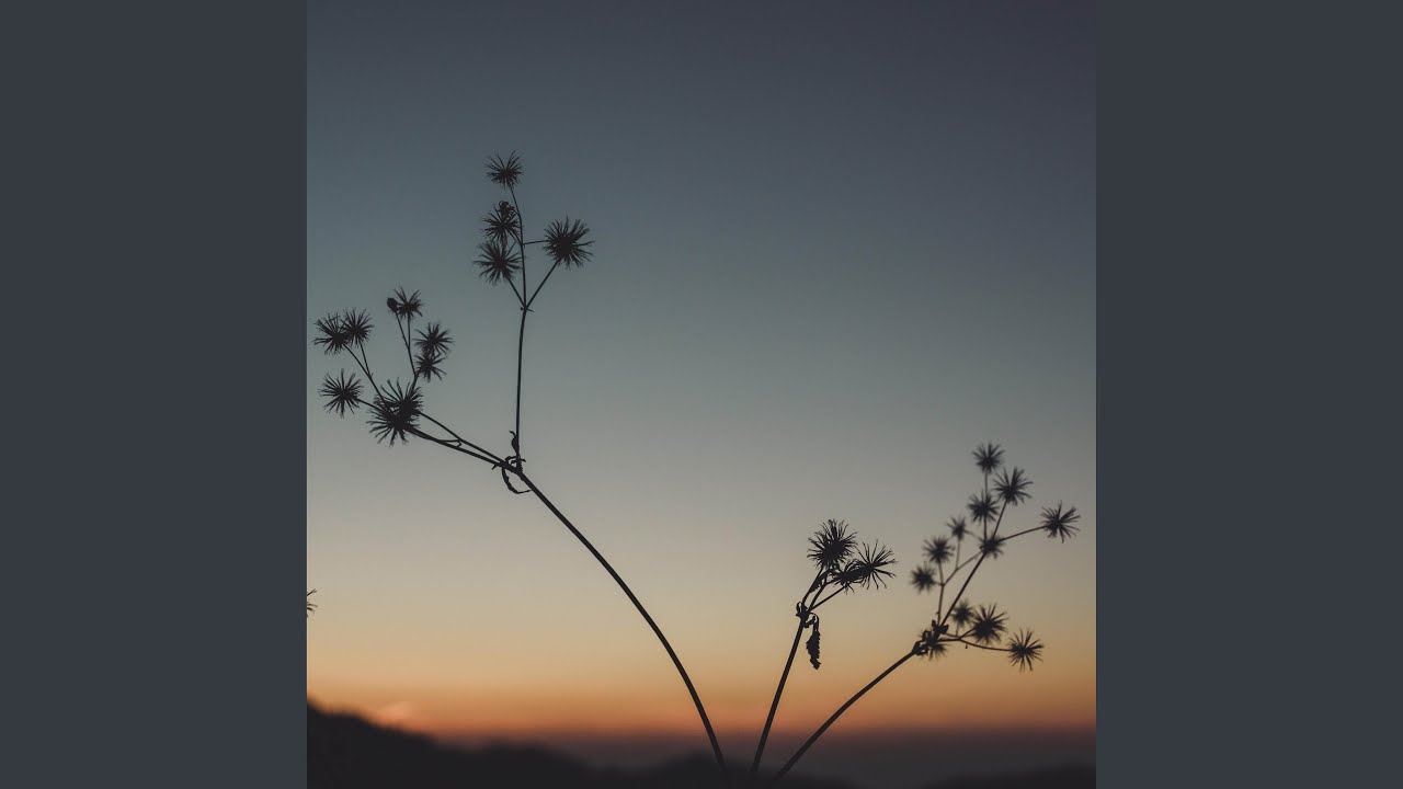 Dreams of the Future