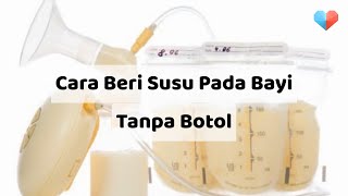 Cara Beri Susu Pada Bayi Tanpa Botol screenshot 2