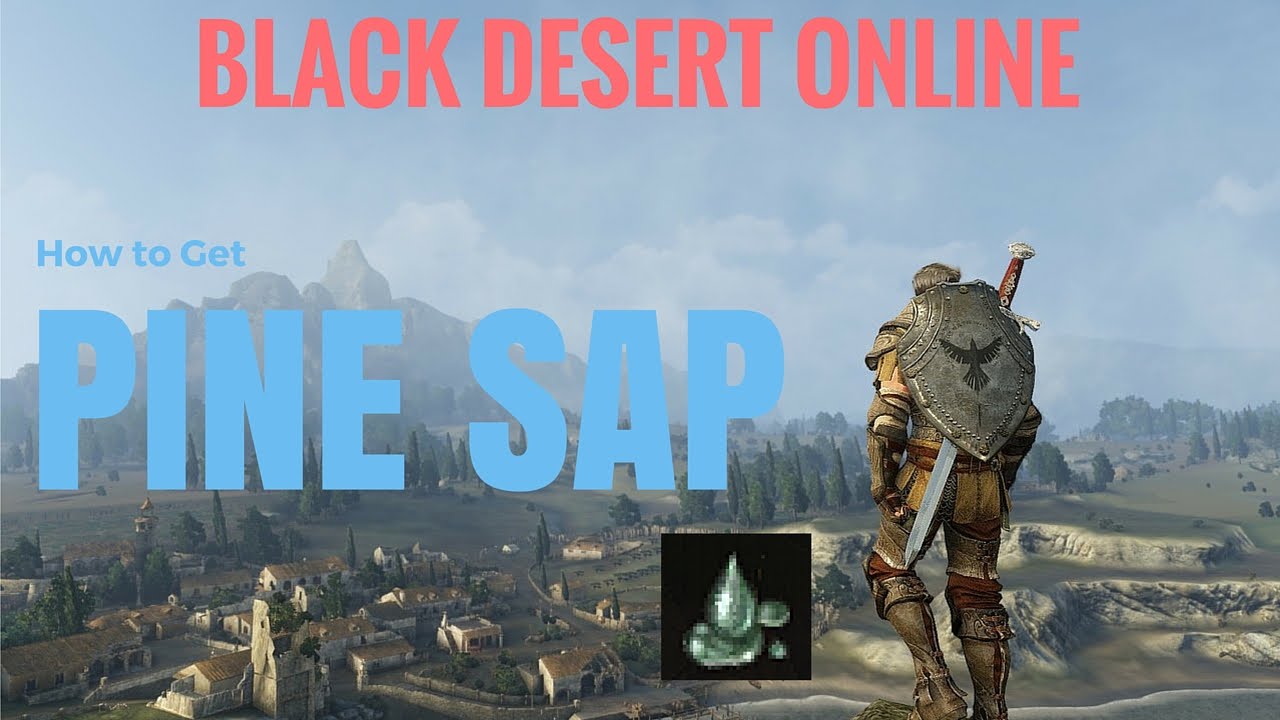 Black Desert Online How to Get Pine Sap YouTube