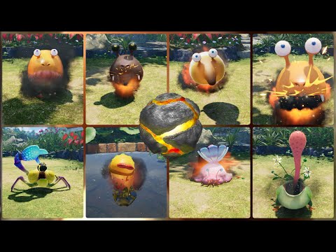 Every Creature eating bombs(Pikmin 4)