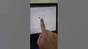How To Enable The Parking Assist Chimes In Your Tesla.