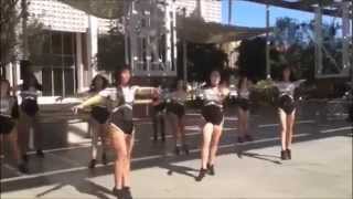 2014 Spring Showcase: Training Video