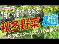 7月から苗作りをする【秋冬野菜】おすすめ8選!2026年最新版