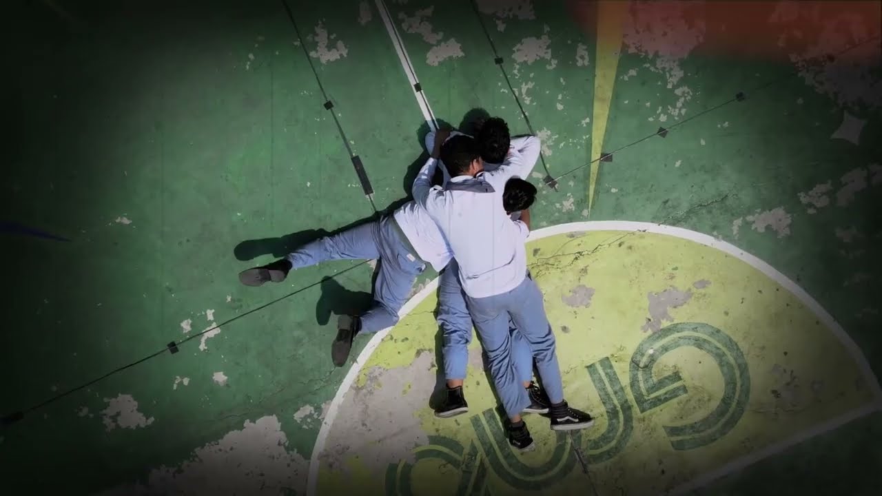 EFFLORESCENCE - ALNESA 24