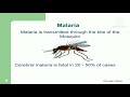 Malaria Control Presentation | HSE Professionals