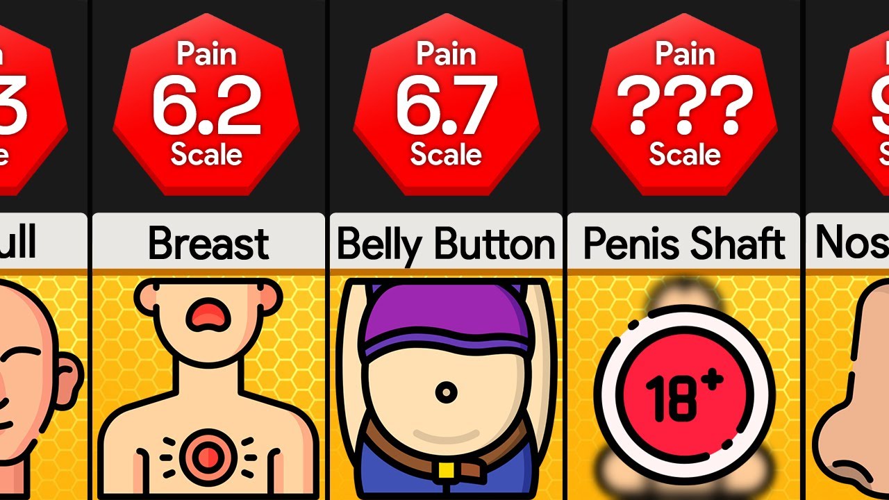 Comparison Most Painful Places To Get Stung By A Bee YouTube