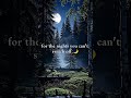 Forest Night Moon 🌙 | Canadian Sleep Music | Vellum