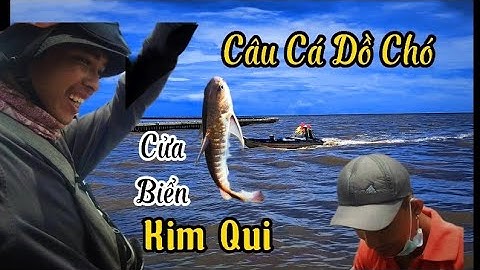 Câu Cá Dồ Chó Cửa Biển Kim Qui - Đủ Loại Cá | Vlog săn bắt | Trai Làng Miền Tây