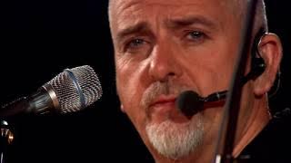 Peter Gabriel - Red Rain (Growing Up Live)