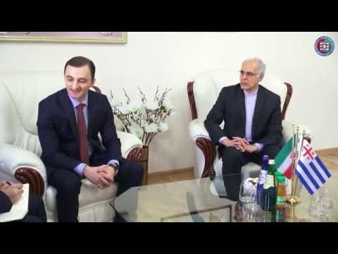 დავით გაბაიძემ ირანის ელჩს უმასპინძლა