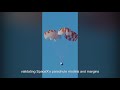 SpaceX Crew Dragon Parachute Test