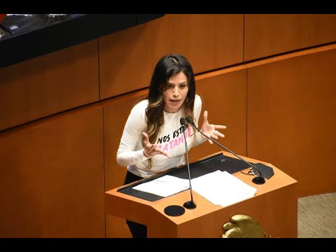 Verónica Delgadillo - Glosa en Materia de Política Interior