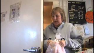 Information Turkey farm ready for Thanksgiving Guide