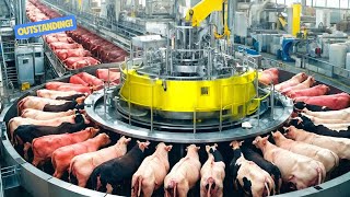 64 Amazing Videos Modern Food Technology Processing Machines That Are At Another Level 42