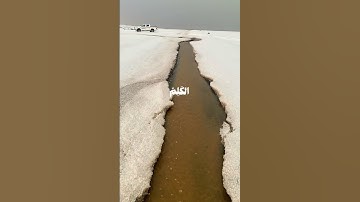 من كان يريد العزة فلله العزة جميعا سوره فاطر #اذكر_الله #قران #استغفرالله #اجر #qoran #اكسبلور