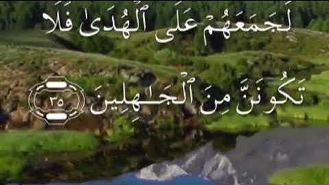 سورة الانعام كاملة مكتوبة مكررة بصوت عذب لسعد الغامدي