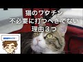 【猫のワクチン】まだ毎年打ってるの？　〜猫のワクチン、不必要に打つべきでない　by世界小動物獣医師会〜
