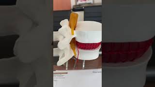 Miguel Angel Fuentes Rivera-13