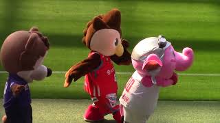 エディオンピースウイング広島で