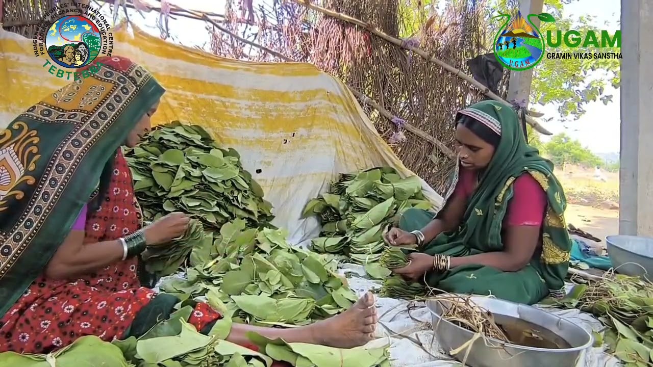 Ugam Gramin Vikas Sanstha and Tebtebba Foundation