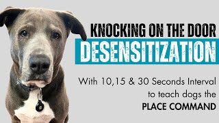 Knocking on the door with 10,15&30 Seconds Interval| Dog Training and Desensitization by The Wolf and Bears 231 views 3 months ago 8 minutes, 33 seconds