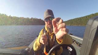 How to keep the heavy leadhead straight on the rubber baits. Shown on PD Conda 25cm
