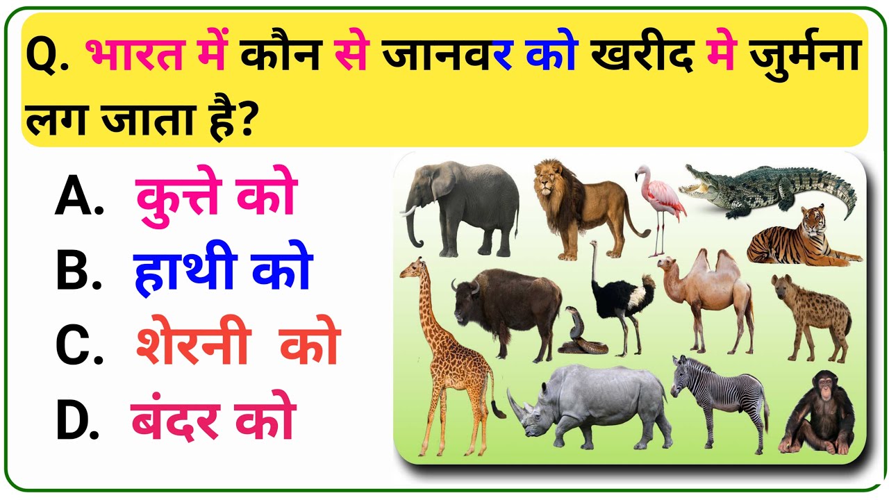 Gk Question And Answer || General Knowledge || Gk Quiz || Interesting ...