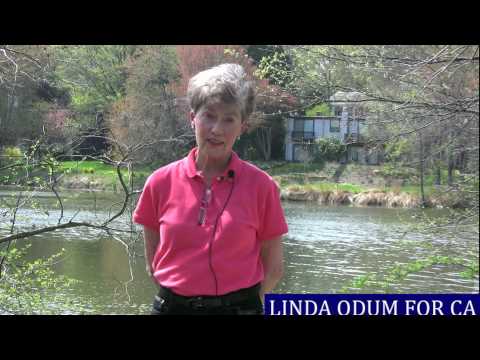Linda Odum: "Why I'm Running"