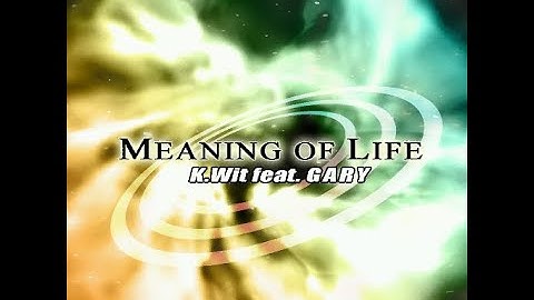 MEANING OF LIFE ~DDR XXTREME CSP chart~