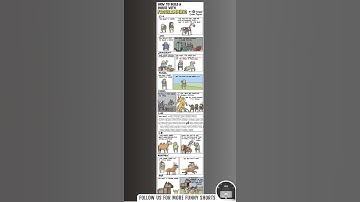 Funny Frontend Meme 😂 | Please support us to complete 100 subscribers goal | #eraofcoders #shorts