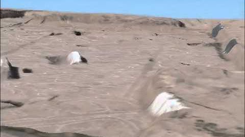 Excavations at the Site of Las Capas as Captured by Autodesk