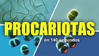 Procariotas y sus organelos | en 140 segundos