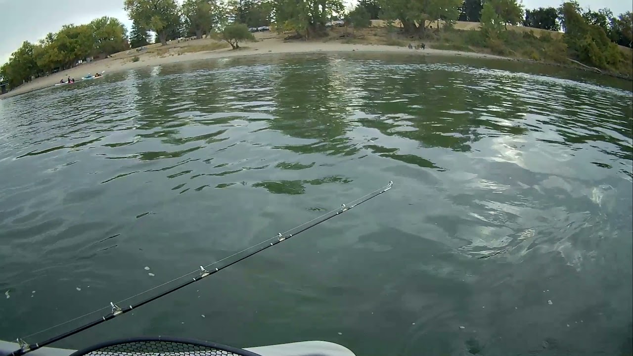 salmon fishing on my boat discovery park YouTube