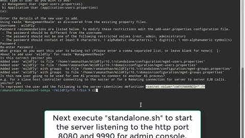 WildFly 10.1.0 Installation in Linux Mint 18 with Oracle JDK 8 (Java 8)